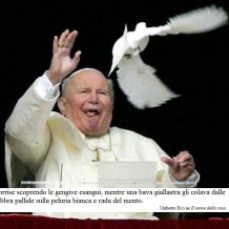 pope-vs-pigeon